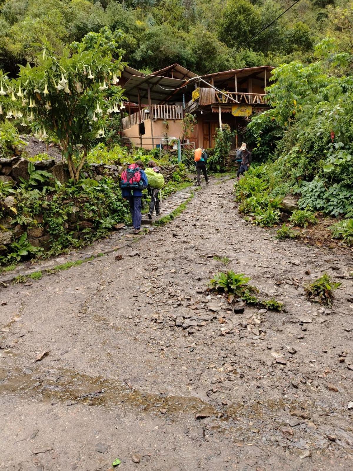 Hostel Samana Wasi Chaullay Cuzco Zewnętrze zdjęcie