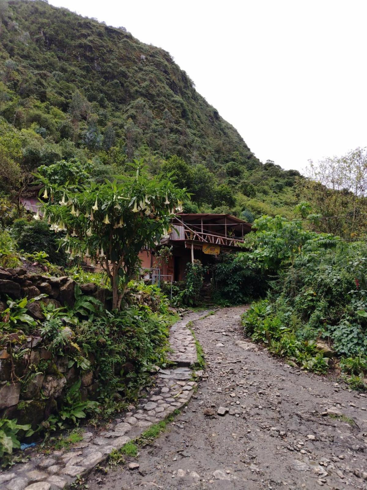 Hostel Samana Wasi Chaullay Cuzco Zewnętrze zdjęcie